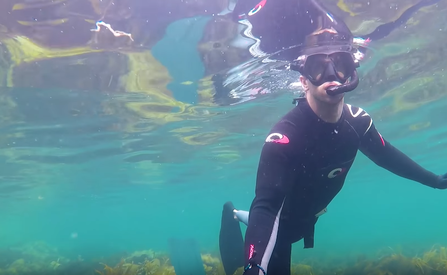 a snorkeler swimming among kelp and seaweed at Fintra Bay near Killybegs